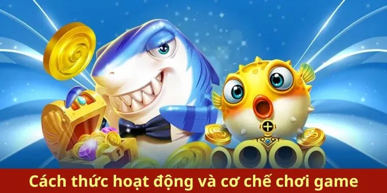 Bí Kíp Chơi Bắn Cá Royal Fishing XN88 Đỉnh Cao Cho Tân Thủ
