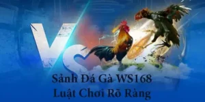 Bí Kíp Chơi Đá Gà WS168 Tại XN88 Từ Cao Thủ Bất Bại