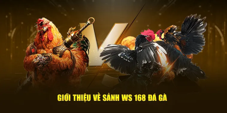 Bí Kíp Chơi Đá Gà WS168 Tại XN88 Từ Cao Thủ Bất Bại
